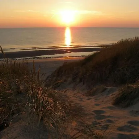 Roos * Egmond aan Zee
