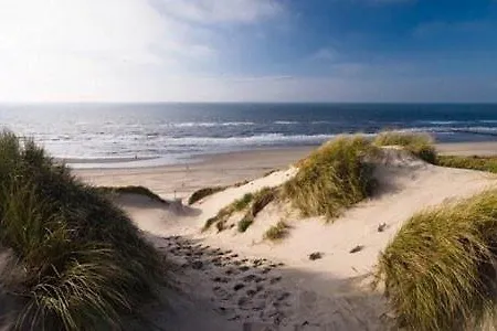 Roos Egmond aan Zee