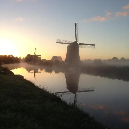 Roos *