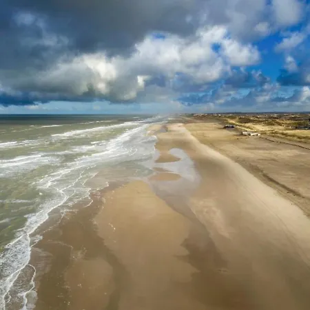 Roos * Egmond aan Zee